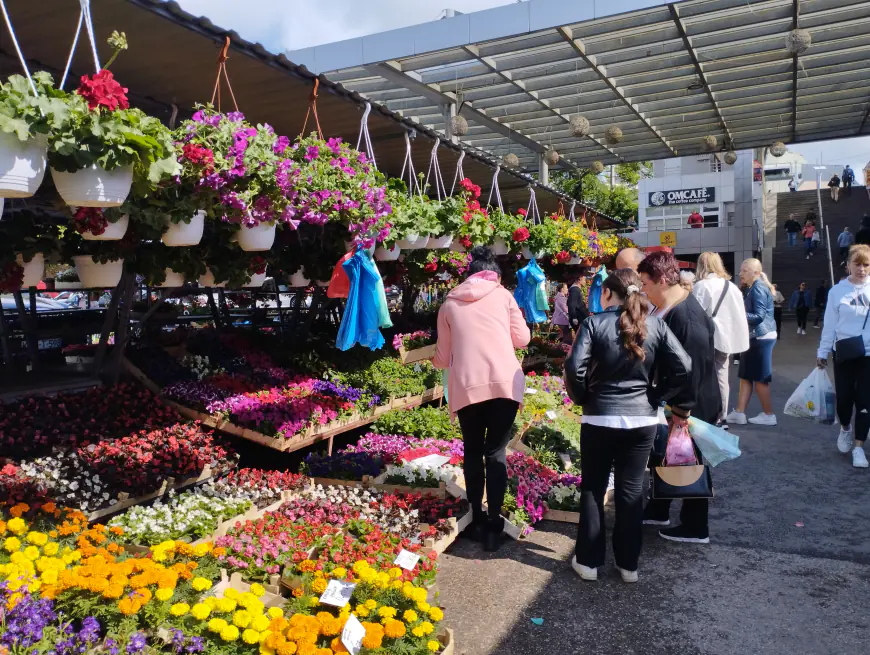 Turisti i ekskurzije preplavili Banja Luku (FOTO)