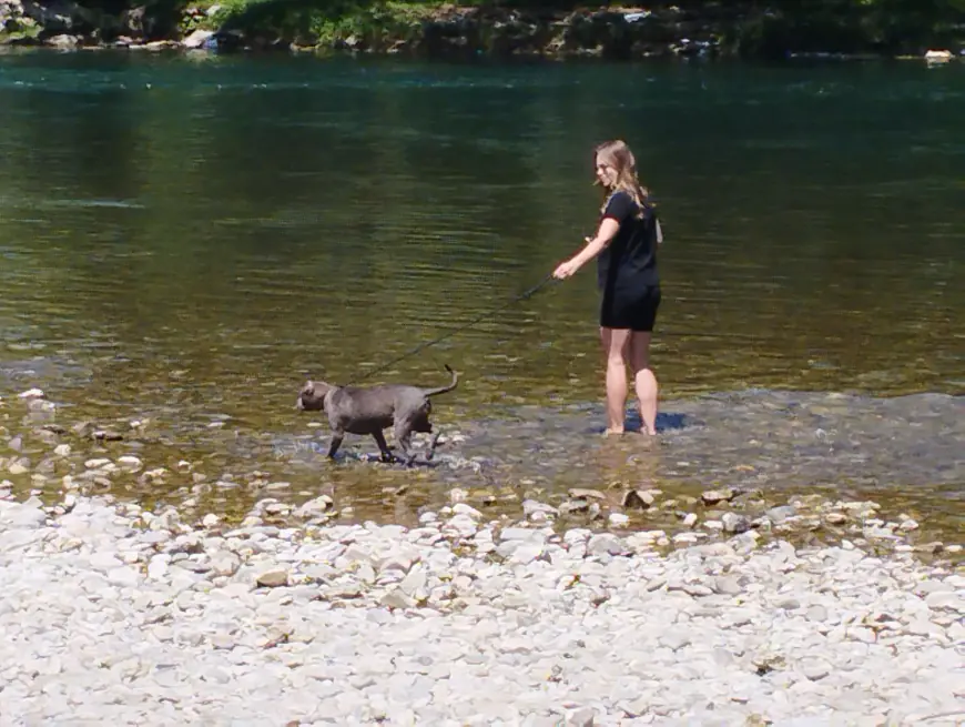 Banjalučani iskoristili lijepo vrijeme za uživanje na Vrbasu (FOTO)